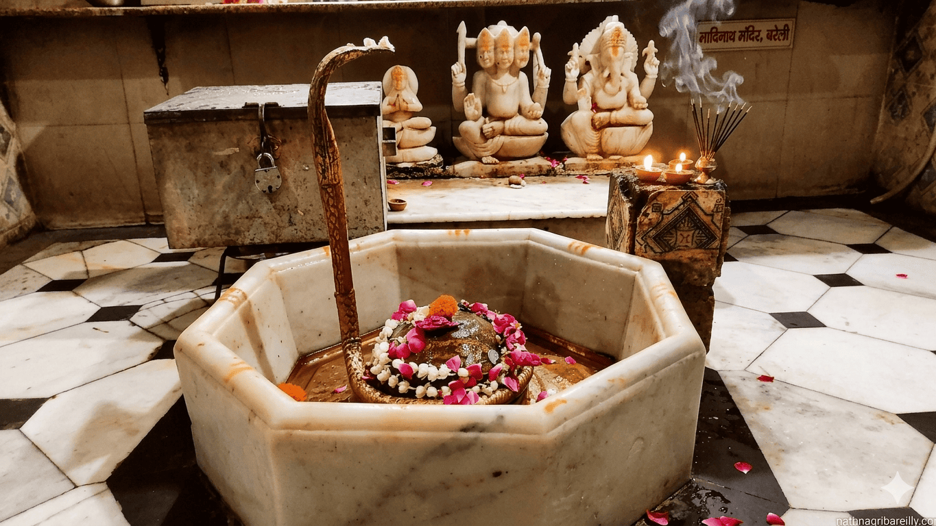 मढ़ीनाथ मंदिर (Madhinath Temple)